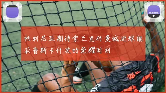 帕利尼亚期待索兰克对曼城进球能获普斯卡什奖的荣耀时刻
